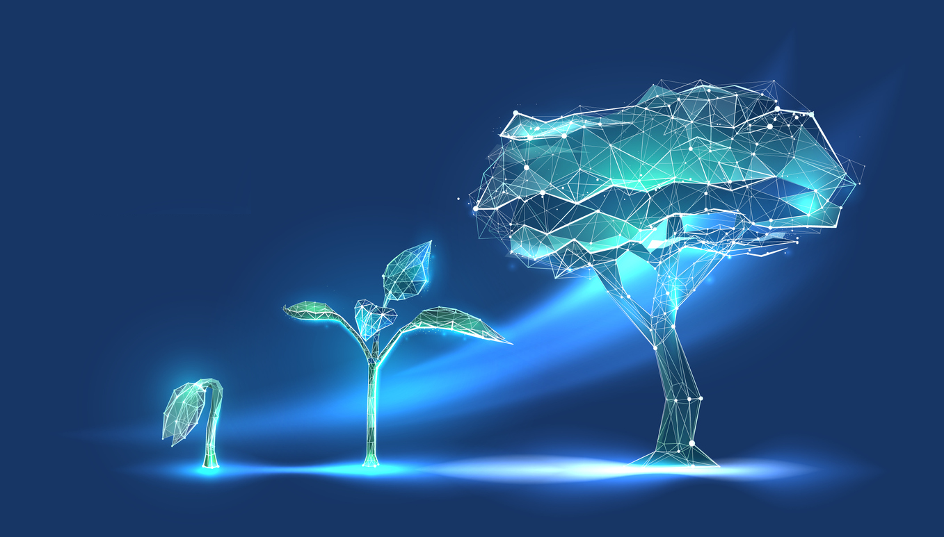 Growth and strategy